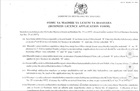 Business license application form